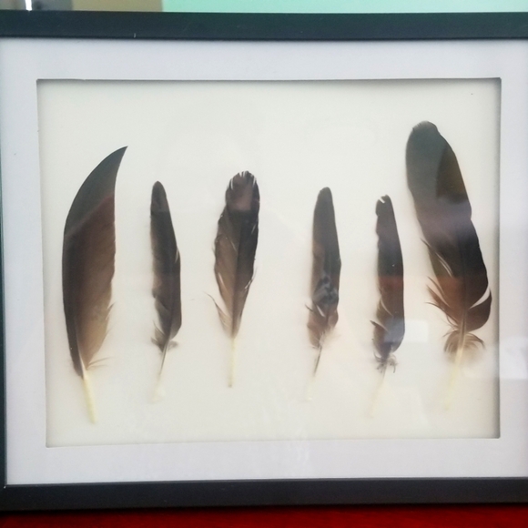 Featherwork Framed 8×10 Wall & Sitting Art/Decor Hang or Stand - Picture 4 of 8